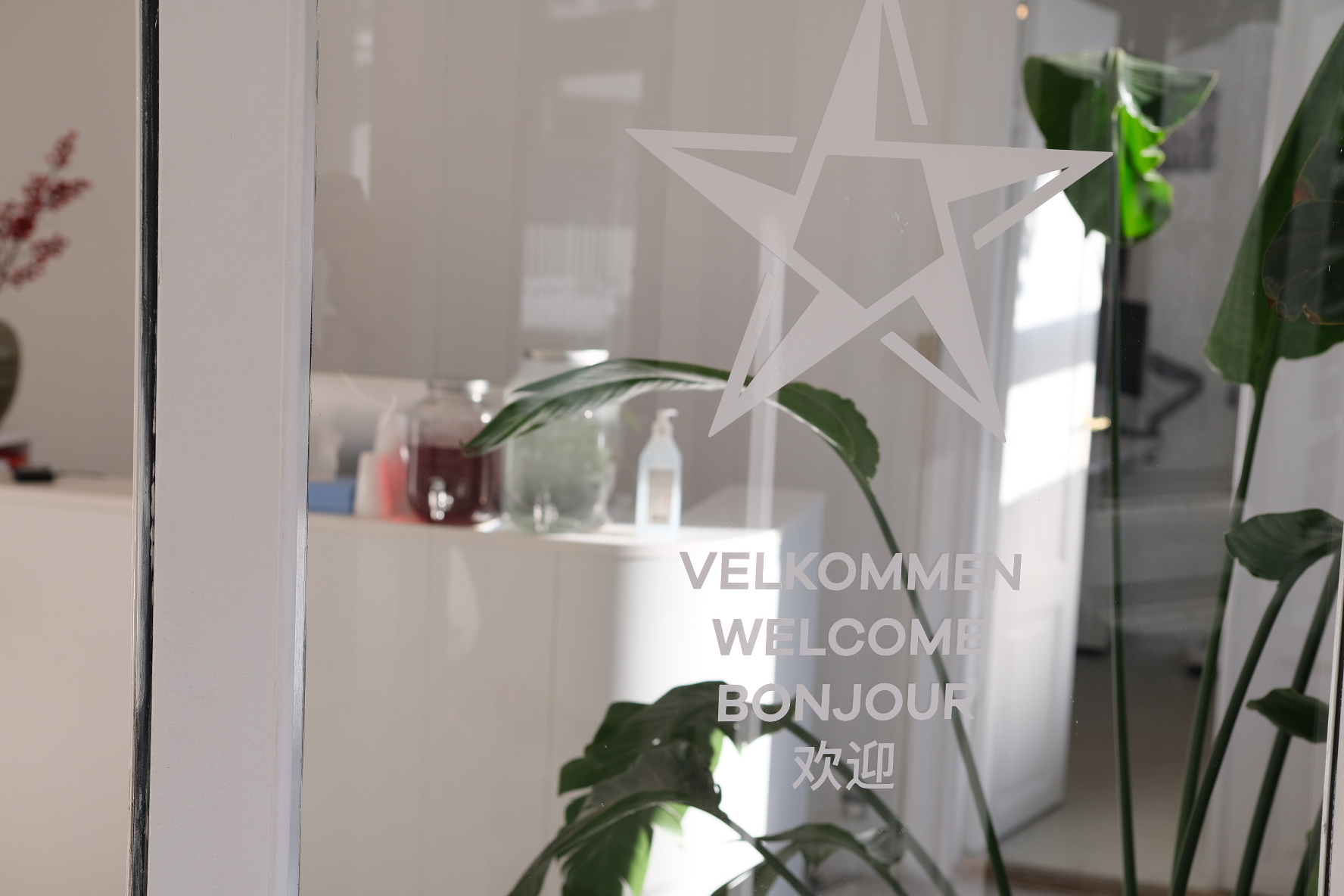 Ydelser til private